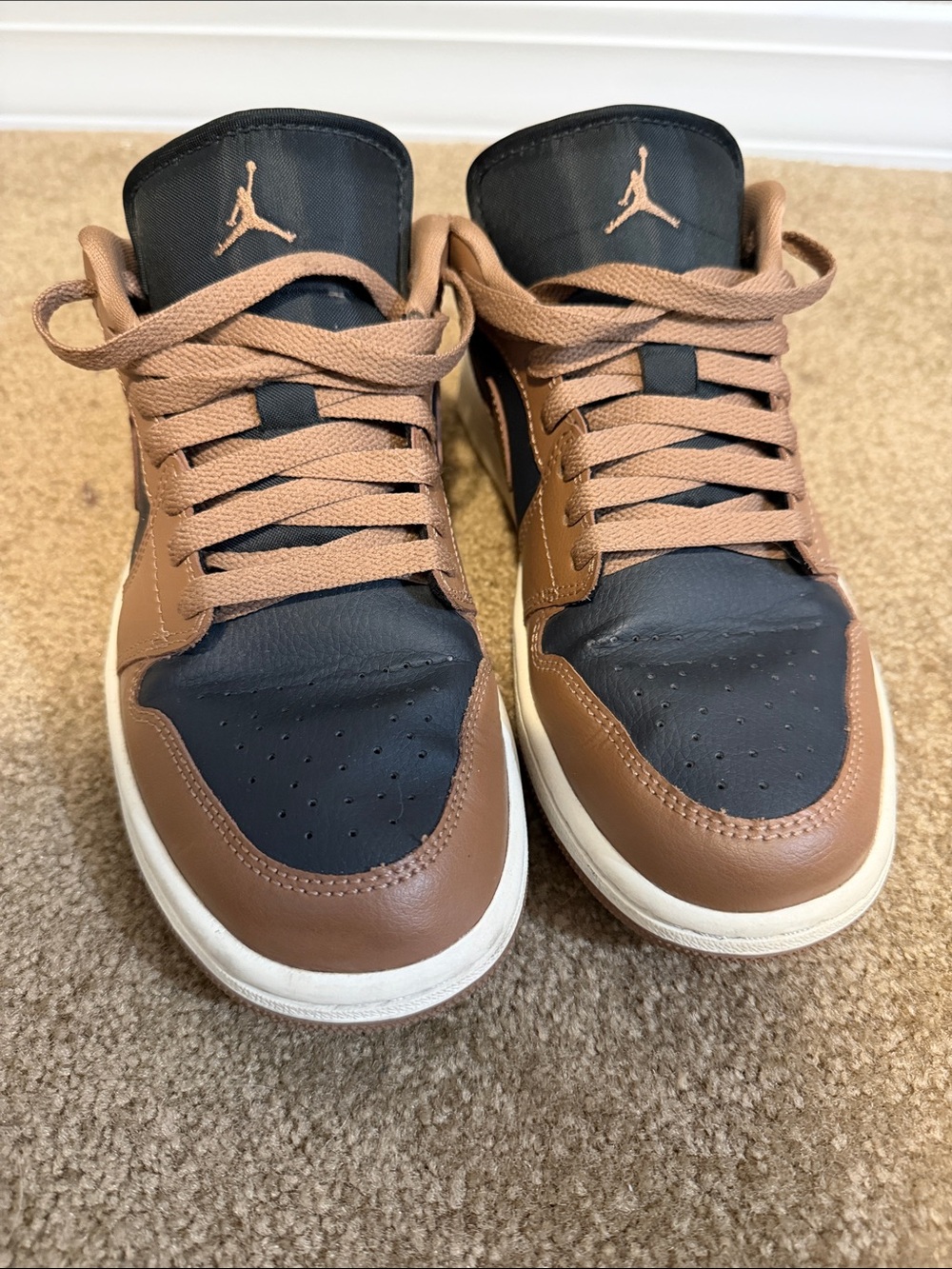 Women’s Jordan Dunks Low-Top Sneakers - Black and Brown